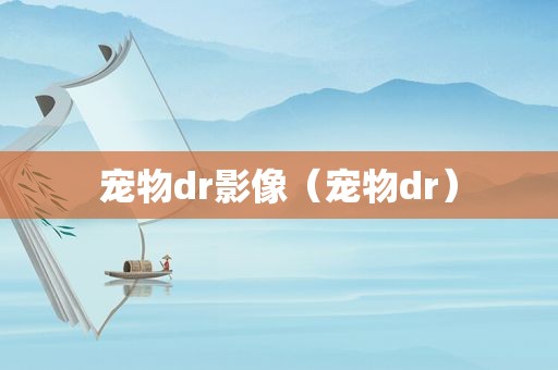宠物dr影像（宠物dr）