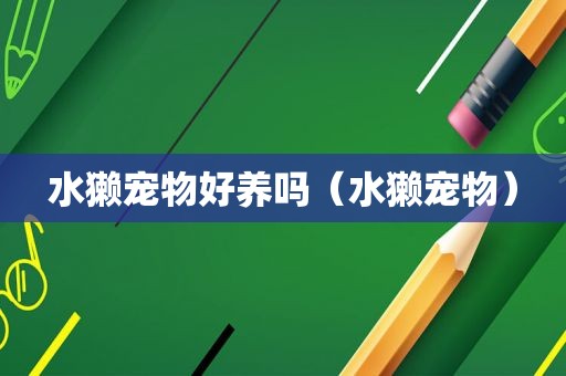 水獭宠物好养吗（水獭宠物）