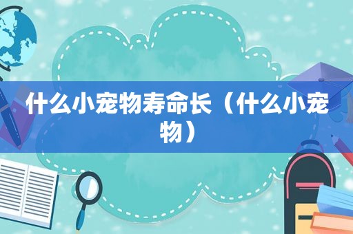什么小宠物寿命长（什么小宠物）