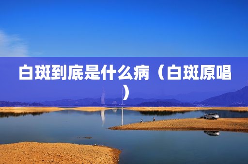白斑到底是什么病（白斑原唱）
