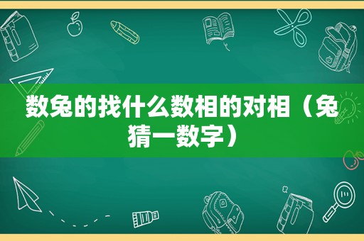数兔的找什么数相的对相（兔猜一数字）