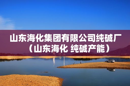 山东海化集团有限公司纯碱厂（山东海化 纯碱产能）