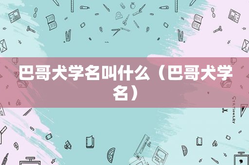 巴哥犬学名叫什么（巴哥犬学名）