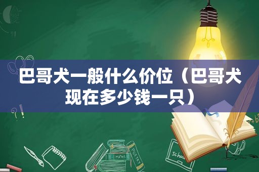 巴哥犬一般什么价位（巴哥犬现在多少钱一只）