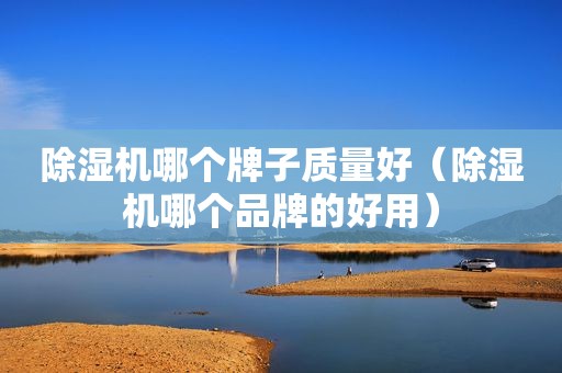 除湿机哪个牌子质量好（除湿机哪个品牌的好用）