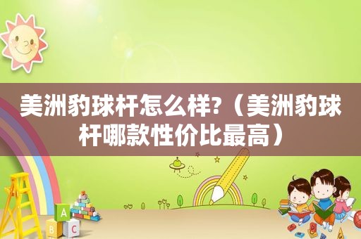 美洲豹球杆怎么样?（美洲豹球杆哪款性价比最高）