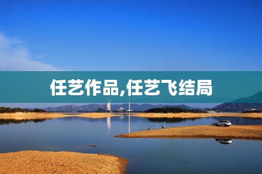 任艺作品,任艺飞结局