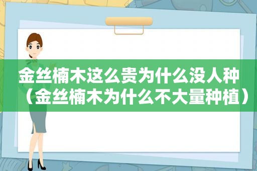 金丝楠木这么贵为什么没人种（金丝楠木为什么不大量种植）