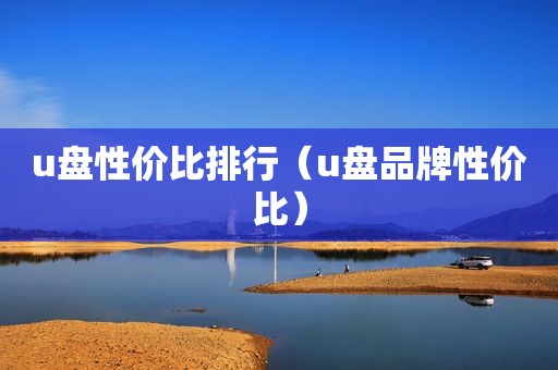 u盘性价比排行（u盘品牌性价比）