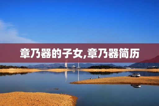 章乃器的子女,章乃器简历