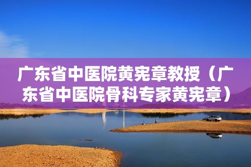 广东省中医院黄 *** 教授（广东省中医院骨科专家黄 *** ）