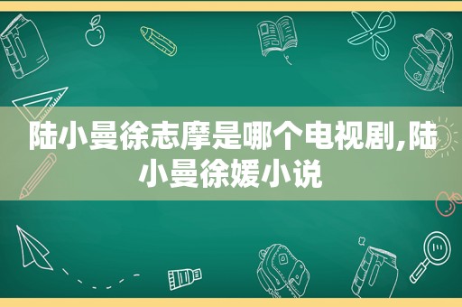 陆小曼徐志摩是哪个电视剧,陆小曼徐媛小说