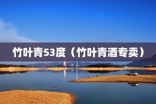 竹叶青53度（竹叶青酒专卖）