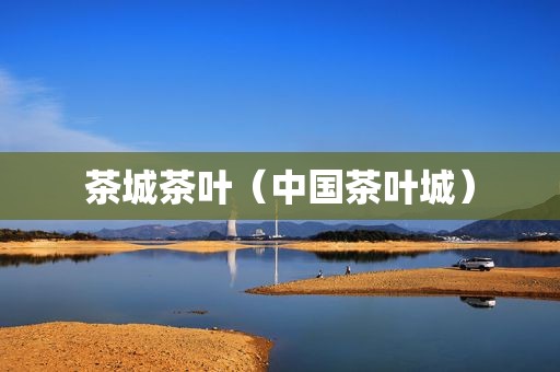 茶城茶叶（中国茶叶城）