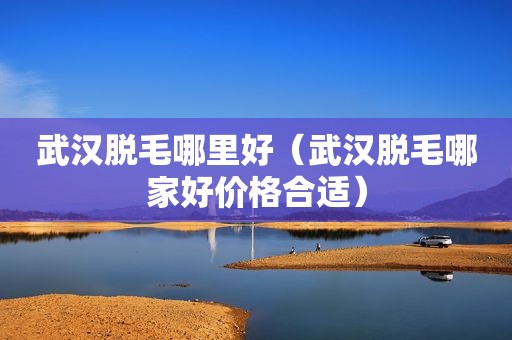 武汉脱毛哪里好（武汉脱毛哪家好价格合适）