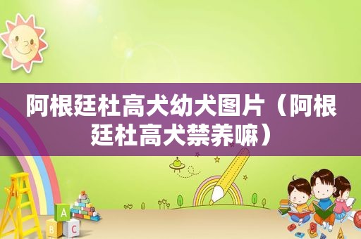 阿根廷杜高犬幼犬图片（阿根廷杜高犬禁养嘛）
