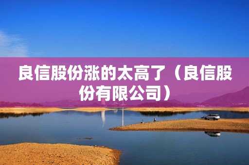 良信股份涨的太高了（良信股份有限公司）