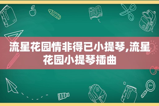 流星花园情非得已小提琴,流星花园小提琴插曲