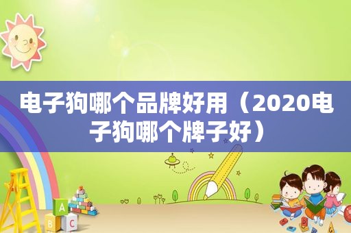 电子狗哪个品牌好用（2020电子狗哪个牌子好）