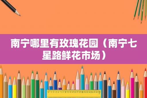 南宁哪里有玫瑰花园（南宁七星路鲜花市场）