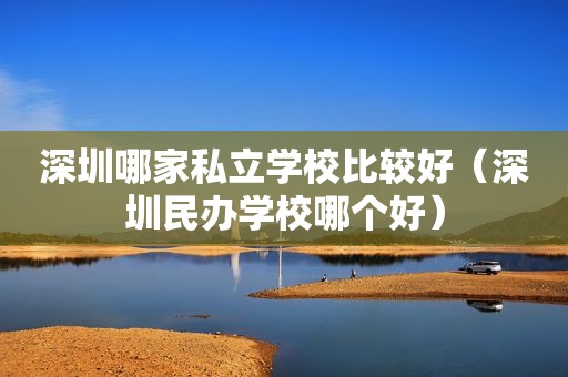 深圳哪家私立学校比较好（深圳民办学校哪个好）