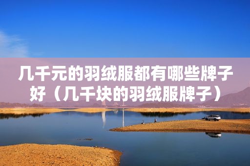 几千元的羽绒服都有哪些牌子好（几千块的羽绒服牌子）