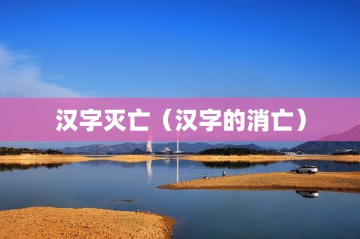 汉字灭亡（汉字的消亡）
