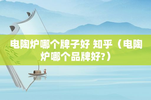 电陶炉哪个牌子好 知乎（电陶炉哪个品牌好?）