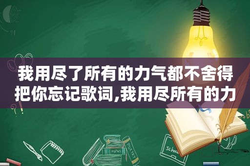 我用尽了所有的力气都不舍得把你忘记歌词,我用尽所有的力气才换来你对我不弃