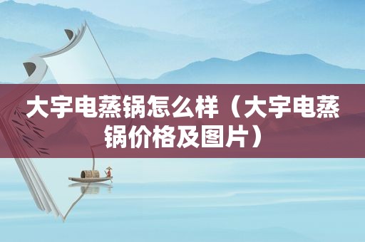 大宇电蒸锅怎么样（大宇电蒸锅价格及图片）