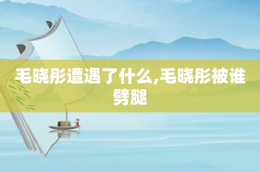 毛晓彤遭遇了什么,毛晓彤被谁劈腿