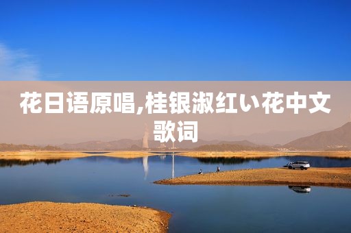 花日语原唱,桂银淑红い花中文歌词