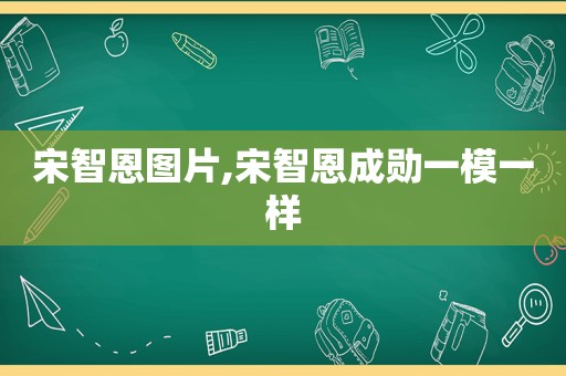 宋智恩图片,宋智恩成勋一模一样