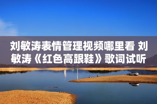 刘敏涛表情管理视频哪里看 刘敏涛《红色高跟鞋》歌词试听方式