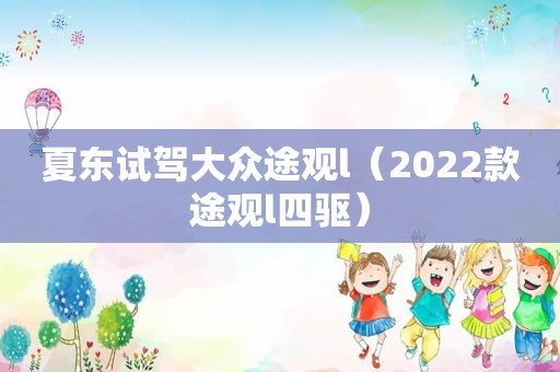 夏东试驾大众途观l（2022款途观l四驱）