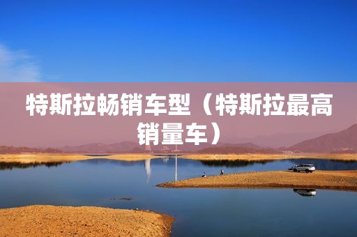 特斯拉畅销车型（特斯拉最高销量车）