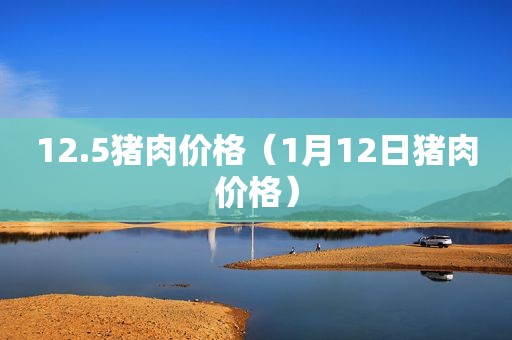 12.5猪肉价格（1月12日猪肉价格）
