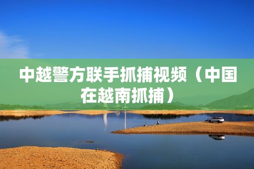 中越警方联手抓捕视频（中国在越南抓捕）