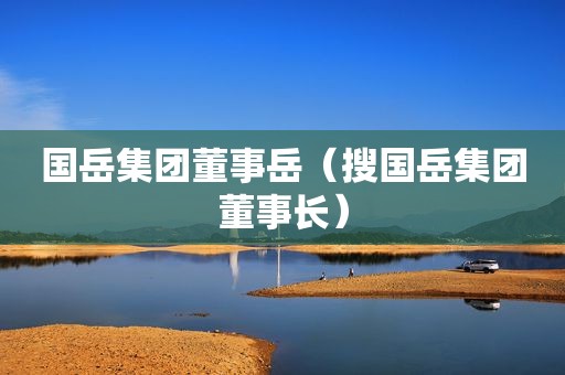 国岳集团董事岳（搜国岳集团董事长）
