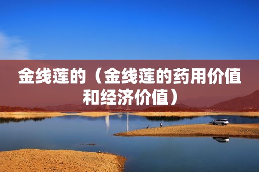 金线莲的（金线莲的药用价值和经济价值）