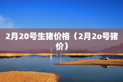 2月20号生猪价格（2月2o号猪价）
