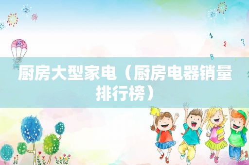 厨房大型家电（厨房电器销量排行榜）