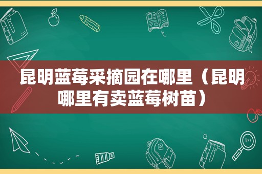 昆明蓝莓采摘园在哪里（昆明哪里有卖蓝莓树苗）
