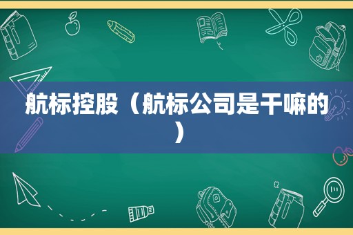 航标控股（航标公司是干嘛的）
