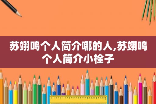 苏翊鸣个人简介哪的人,苏翊鸣个人简介小栓子