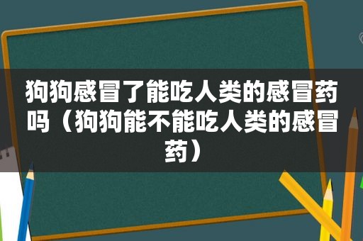 狗狗感冒了能吃人类的感冒药吗（狗狗能不能吃人类的感冒药）