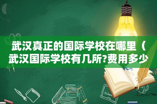 武汉真正的国际学校在哪里（武汉国际学校有几所?费用多少?）