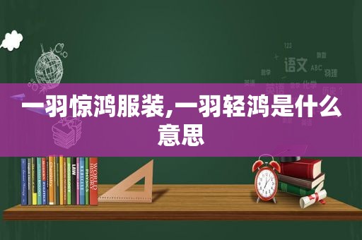 一羽惊鸿服装,一羽轻鸿是什么意思
