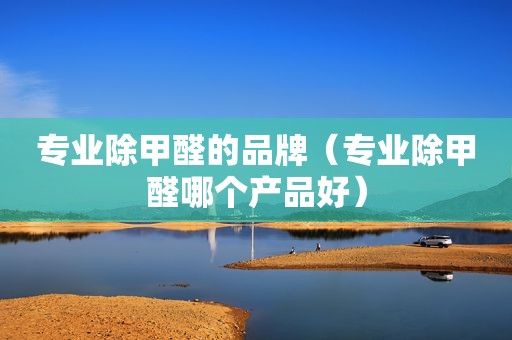 专业除甲醛的品牌（专业除甲醛哪个产品好）