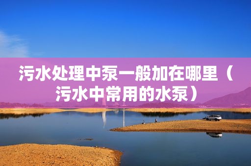 污水处理中泵一般加在哪里（污水中常用的水泵）